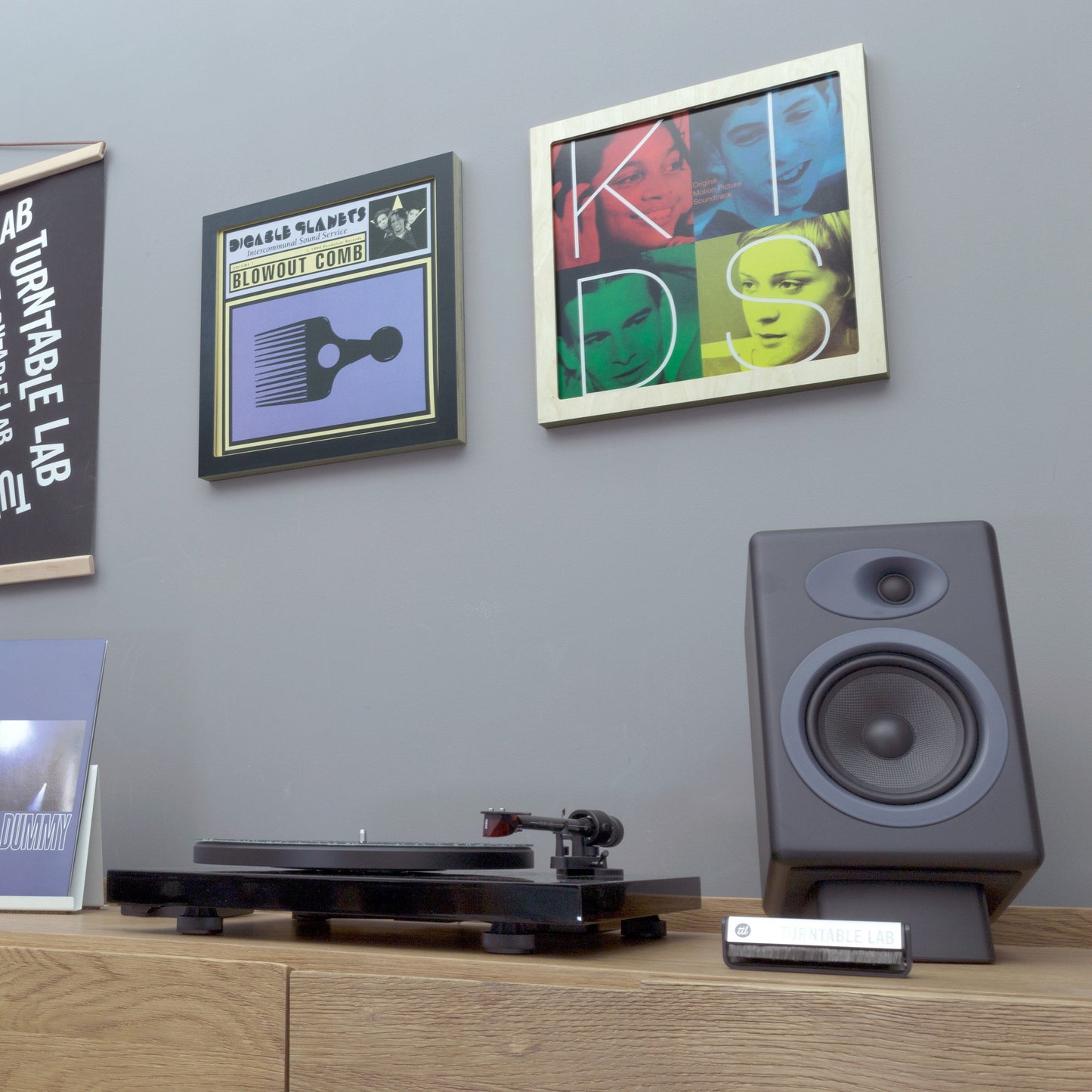 Vinyl Record Frame - Line Phono: Premium Vinyl Record Frame Display